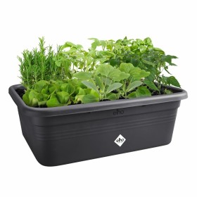 Plant pot Elho 7,4 x 76 x 26,8 cm Black Plastic Squared by Elho, Flower Pots - Ref: S7196861, Price: 54,61 €, Discount: %