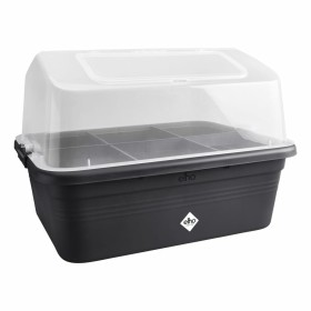 Plant pot EDA 13633 G.ANT SX3 Black | Tienda24 - Global Online Shop Tienda24.eu