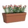 Plant pot Artevasi Terracotta 49,9 x 20 x 18,1 cm by Artevasi, Flower Pots - Ref: S7198138, Price: 28,44 €, Discount: %