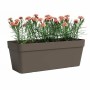 Plant pot Artevasi Bronze 49,9 x 20 x 18,1 cm | Tienda24 - Global Online Shop Tienda24.eu