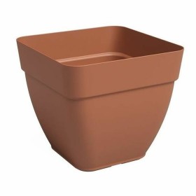 Blumentopf Dem Greentime kreisförmig Schale Braun ø 50 x 6,8 cm (6 Stück) | Tienda24 - Global Online Shop Tienda24.eu