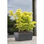 Planter Deroma Dark grey 35 x 79 x 35 cm 75 L | Tienda24 - Global Online Shop Tienda24.eu