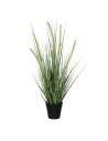 Planta Decorativa Mica Decorations Dogtail PVC | Tienda24 Tienda24.eu