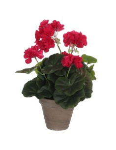 Planta Decorativa Hojas Redonda Plástico 11 x 15 x 11 cm (6 Unidades) | Tienda24 Tienda24.eu