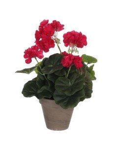 Plante décorative Ballon Mousse 30 x 30 x 30 cm | Tienda24 Tienda24.eu