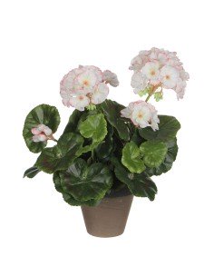 Plante décorative Boj Ballon Plastique 30 x 30 x 30 cm | Tienda24 Tienda24.eu