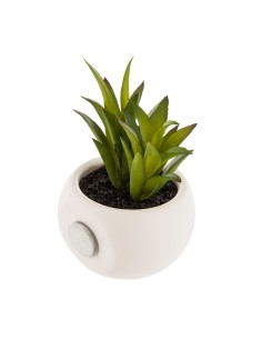 Plante décorative Ciment Tissu Bambou 210 cm | Tienda24 Tienda24.eu