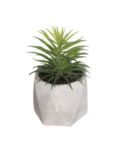 Planta Decorativa Plástico 11 x 18 x 11 cm Verde Gris (12 Unidades) | Tienda24 Tienda24.eu