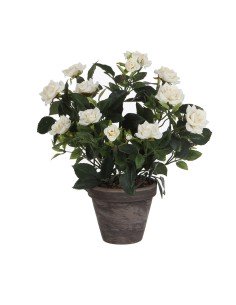 Planta Decorativa DKD Home Decor PVC Polipropileno 20 x 20 x 30 cm | Tienda24 Tienda24.eu