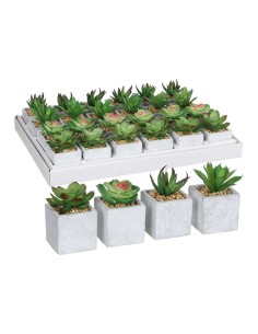 Planta Decorativa Bonsai Plástico 27 x 28 x 14 cm (8 Unidades) | Tienda24 Tienda24.eu