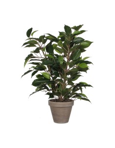 Pianta Decorativa Mica Decorations 40 x 30 cm Ceramica Verde PVC Ficus da Mica Decorations, Piante artificiali - Ref: S790276...