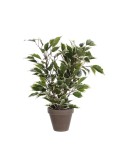 Decorative Plant Mica Decorations 4 x 11,5 cm Ceramic PVC Fig Tree | Tienda24 Tienda24.eu