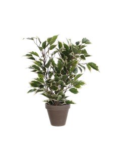 Pianta Decorativa Mica Decorations 4 x 11,5 cm Ceramica PVC Ficus da Mica Decorations, Piante artificiali - Ref: S7903014, Pr...