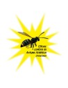 Insecticde Massó Wasps 750 ml | Tienda24 Tienda24.eu