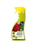 Inseticidas Massó Gerânio Plantas 750 ml | Tienda24 Tienda24.eu