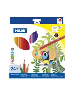 Colouring pencils DERWENT Procolour Multicolour | Tienda24 Tienda24.eu