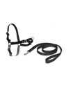 Pet Harness PetSafe Easy Walk Black Medianav (M) | Tienda24 Tienda24.eu