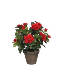 Planta Decorativa Mica Decorations PVC 11,5 x 33 cm | Tienda24 Tienda24.eu