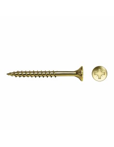 Screw kit CELO Galvanised (40 Units) | Tienda24 Tienda24.eu