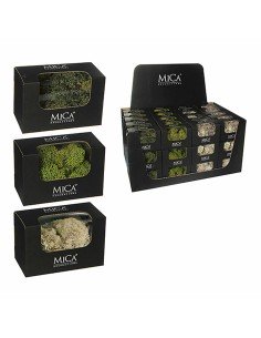 Planta Decorativa Mica Decorations 50 g Musgo de Mica Decorations, Plantas - Ref: S7909237, Precio: 6,57 €, Descuento: %