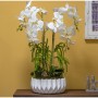 Centerpiece Alexandra House Living White 32 x 13 cm by Alexandra House Living, Ornaments - Ref: D1621307, Price: 22,75 €, Dis...