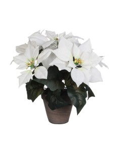 Planta Decorativa Blanco PVC (27 X 35 CM) de Mica Decorations, Plantas - Ref: S7910357, Precio: €21.25, Descuento: %