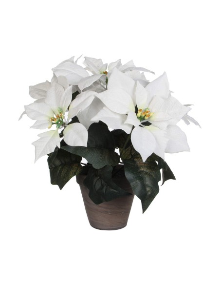 Planta Decorativa Blanco PVC (27 X 35 CM) | Tienda24 Tienda24.eu