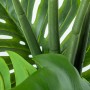 Pianta Decorativa Alexandra House Living Plastica Monstera 150 cm di Alexandra House Living, Piante artificiali - Rif: D16269...