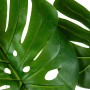 Pianta Decorativa Alexandra House Living Plastica Monstera 150 cm di Alexandra House Living, Piante artificiali - Rif: D16269...