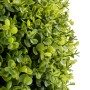 Decorative Plant Alexandra House Living Plastic 165 cm by Alexandra House Living, Artificial Trees - Ref: D1626960, Price: 27...