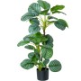 Planta Decorativa Alexandra House Living Plástico Calathea 90 cm de Alexandra House Living, Plantas - Ref: D1626967, Preço: 6...