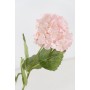 Fleurs décoratives Romimex Rose Hortensia 50 x 105 x 50 cm de Romimex, Fleurs artificielles - Réf : D1628816, Prix : 61,07 €,...