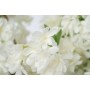 Decorative Flowers Romimex White 130 x 190 x 130 cm Cherry blossom by Romimex, Artificial Flowers - Ref: D1628818, Price: 157...