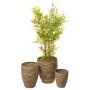 Set de pots de fleurs Romimex Naturel Fibre naturelle 40 x 49 x 40 cm 3 Pièces de Romimex, Cache-pots - Réf : D1628849, Prix ...