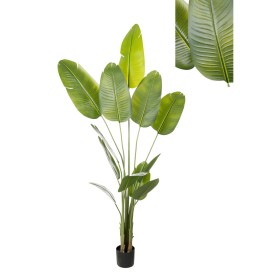 Decorative Plant Romimex Strelitzia Plastic 110 x 210 x 70 cm by Romimex, Artificial Plants - Ref: D1628931, Price: 110,76 €,...