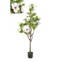 Flores Decorativas Romimex Branco Magnolia 50 x 160 x 50 cm de Romimex, Flores - Ref: D1628953, Preço: 129,87 €, Desconto: %