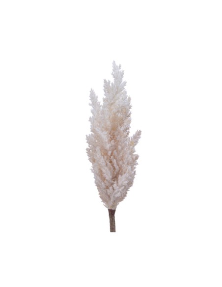 Plante décorative Everlands Herbe de la pampa (Ø 9 x 90 cm) | Tienda24 Tienda24.eu