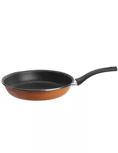 Frigideira WITT roasting pan Preto | Tienda24 Tienda24.eu