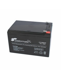 Chargeur de batterie Pastormatic 4131996esp Rechange | Tienda24 Tienda24.eu