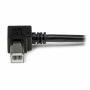 Cabo USB A para USB B Startech USBAB2MR Preto de Startech, Cabos USB - Ref: S55057249, Preço: 7,70 €, Desconto: %