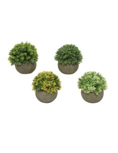 Plante décorative Home Cuivre Cannette (26 x 26 x 26 cm) (6 Unités) | Tienda24 Tienda24.eu