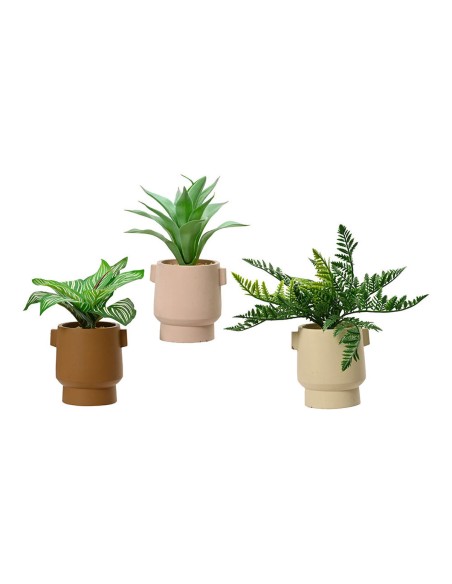 Planta Decorativa EDM 808559 Vaso 25 cm | Tienda24 Tienda24.eu