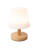 LED Table Lamp Lumineo 894386 Metal 22 cm Rechargeable | Tienda24 Tienda24.eu