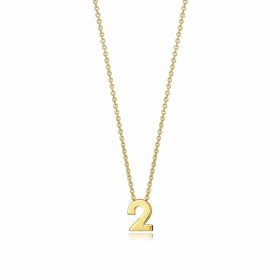 Necklace Viceroy 61041C000-02 by Viceroy, Necklaces - Ref: S7220351, Price: 55,26 €, Discount: %