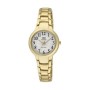 Relógio feminino Q&Q F499J014Y (Ø 34 mm) de Q&Q, Relógios com braselete - Ref: S7227624, Preço: 54,58 €, Desconto: %