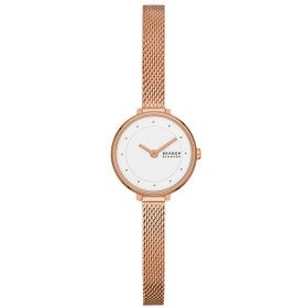 Montre Femme Skagen GITTE LILLE (Ø 22 mm) de Skagen, Montres bracelet - Réf : S7232426, Prix : 105,90 €, Remise : %