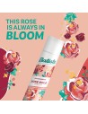 Trockenshampoo Batiste Rose Gold 350 ml | Tienda24 Tienda24.eu