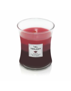 Bougie Parfumée Home ESPRIT méditerranéen 430 g | Tienda24 Tienda24.eu