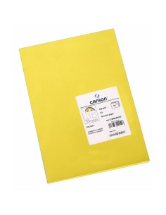 Papel de seda Sadipal Marrón 50 x 75 cm 520 Piezas | Tienda24 Tienda24.eu