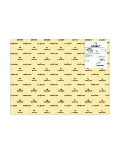 Cartolinas Iris Creme 50 x 65 cm de Iris, Papel - Ref: S8410478, Precio: 14,62 €, Descuento: %